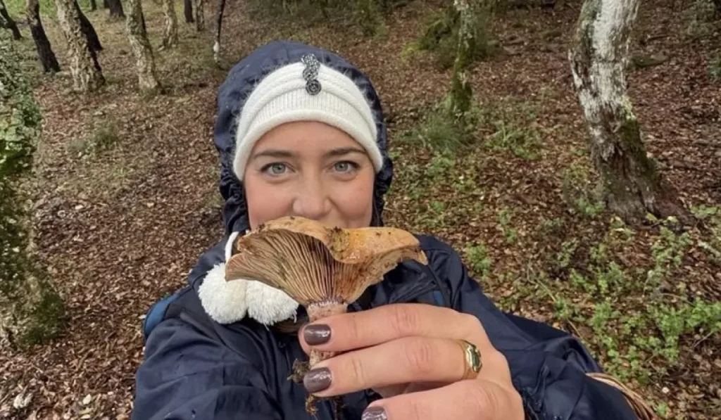 foliage bosco scorace funghi