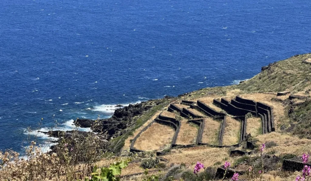 pantelleria terrazzamenti