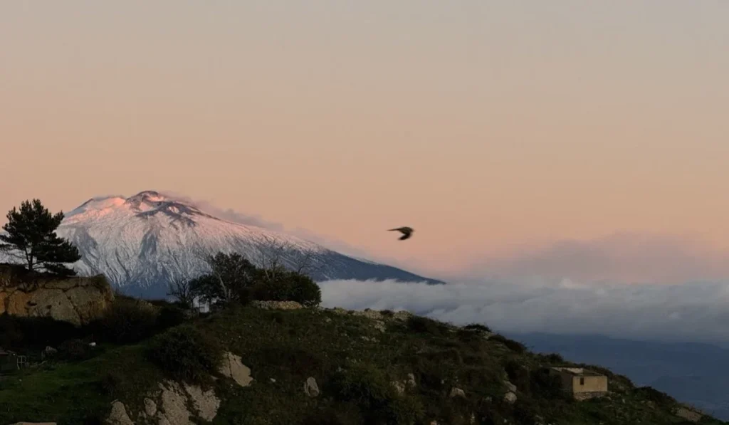 cesaro al tramonto