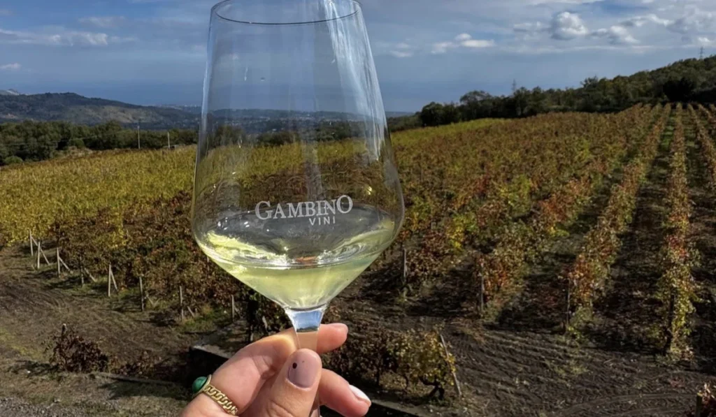 degustazione gambin vini