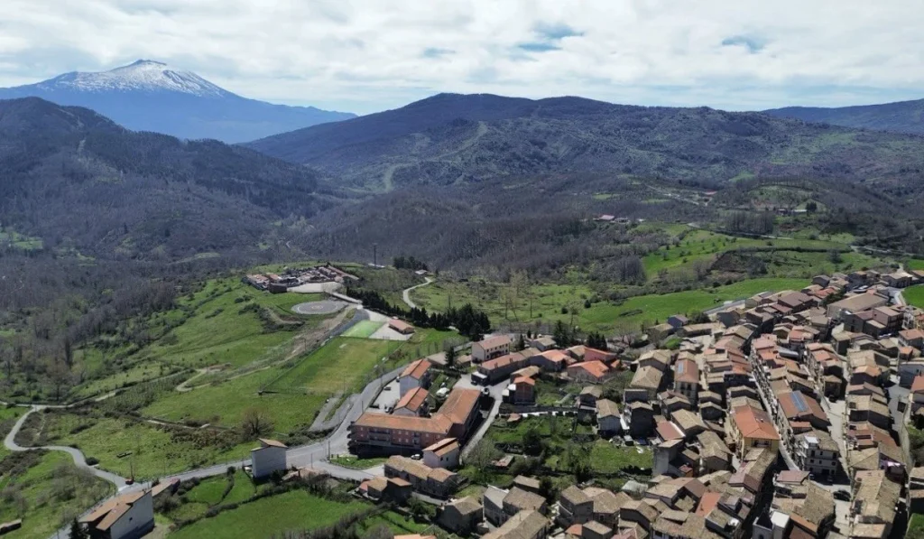 floresta
