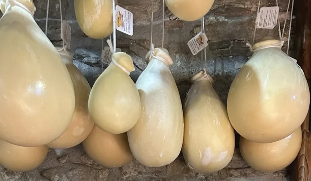 foto caciocavallo