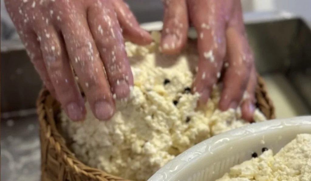 lavorazione ricotta cesaro