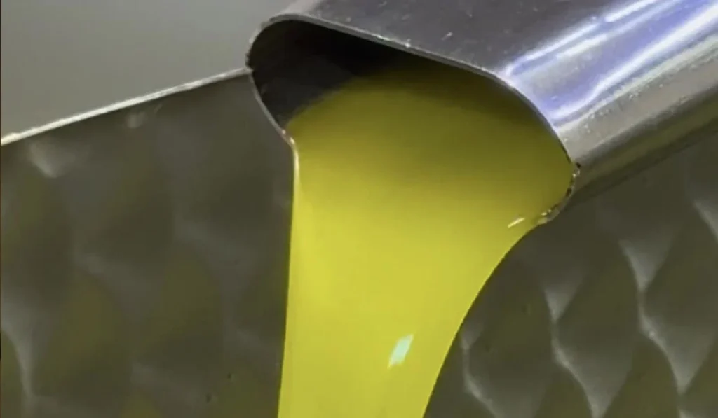 olio al frantoio