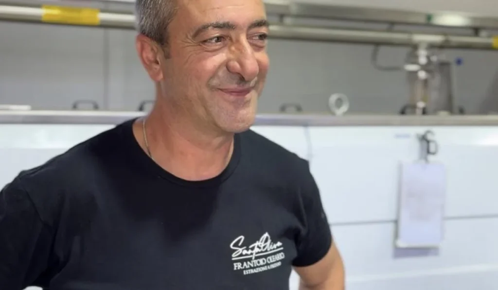 raccolta olive al frantoio