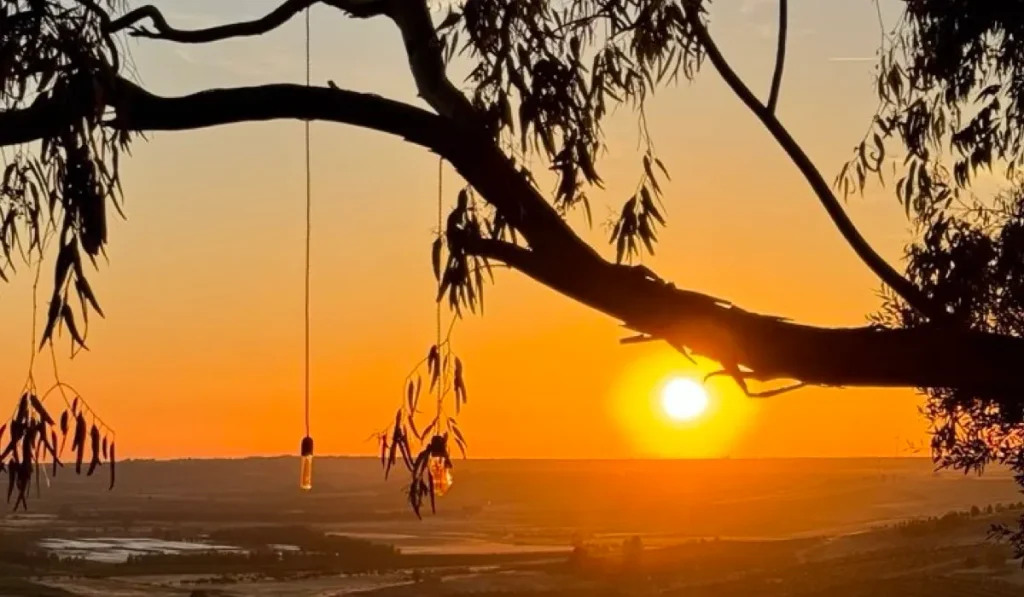 Safaria al tramonto
