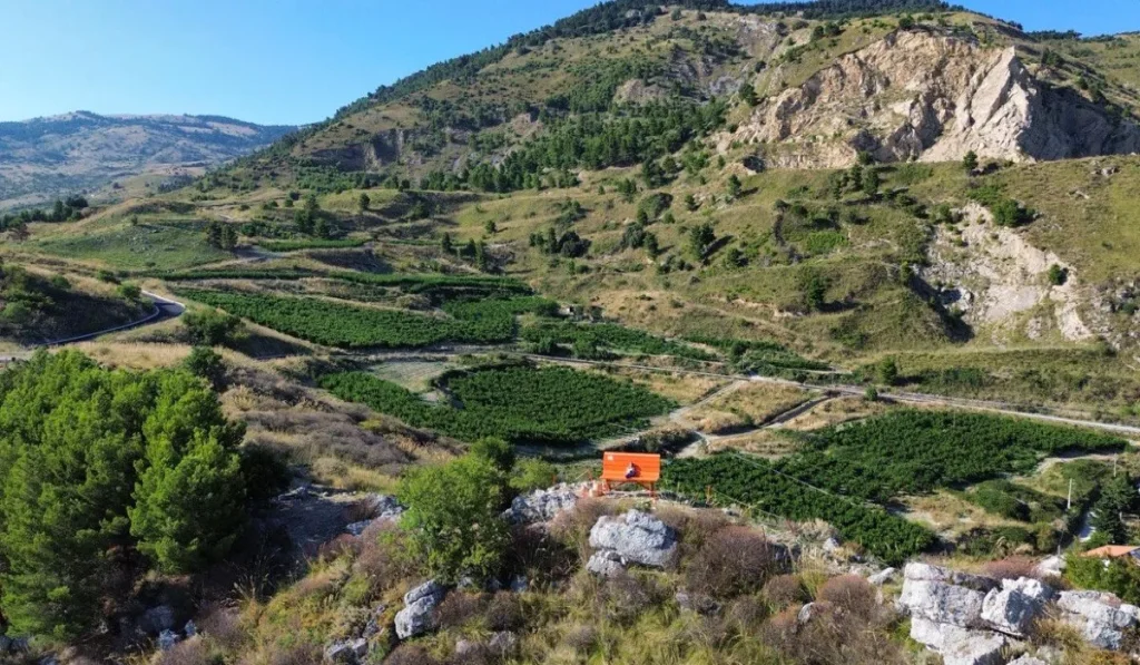 bivona