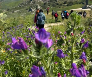 trekking sui sicani