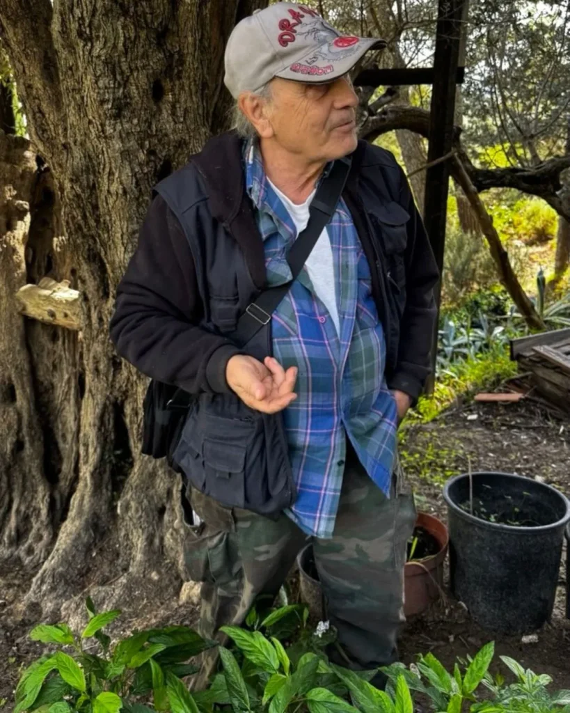 aldo san biagio platani