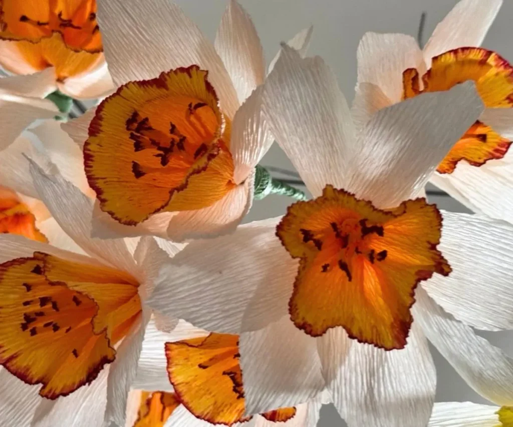 fiori di collant