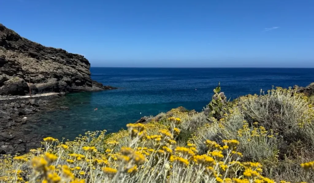 mare in primavera