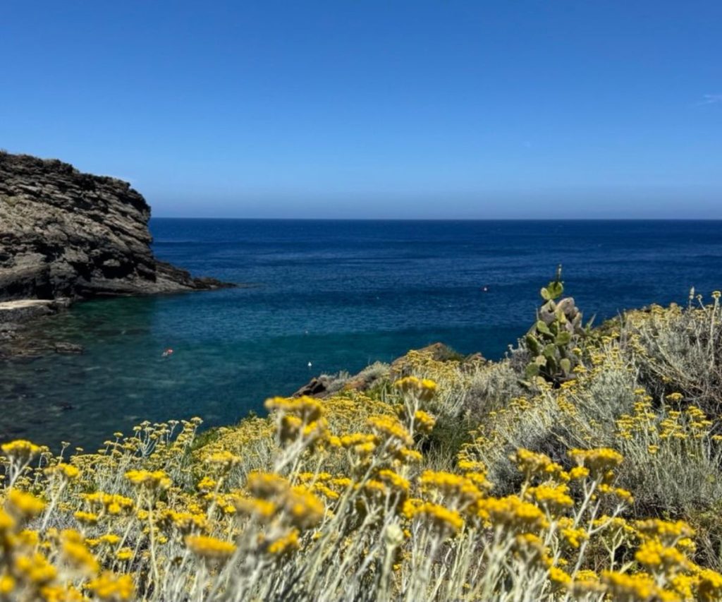 primavera
