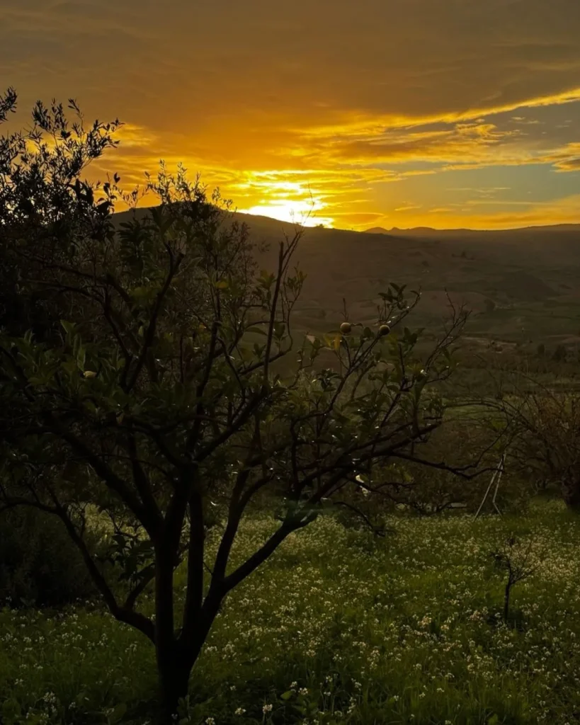 tramonto san biagio platani