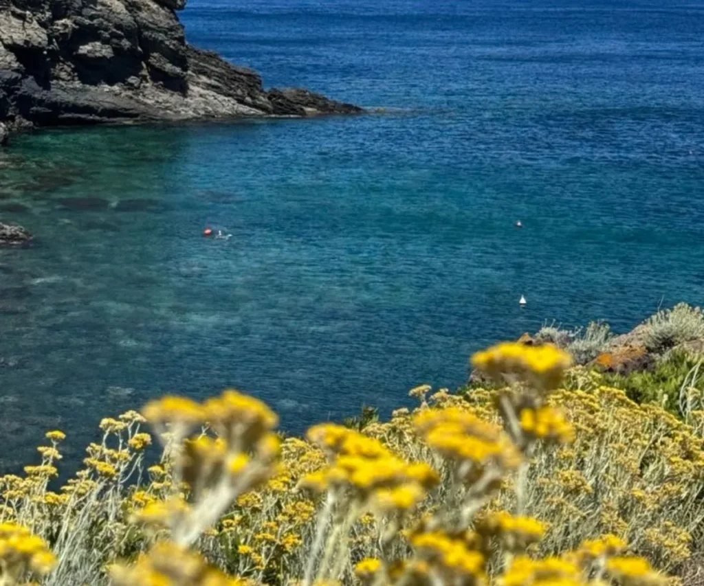 pantelleria foto fiori
