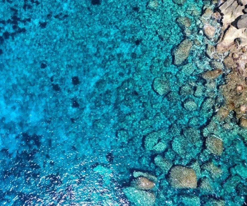 favignana copertina