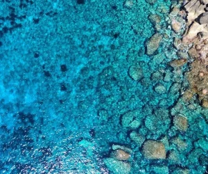 favignana copertina