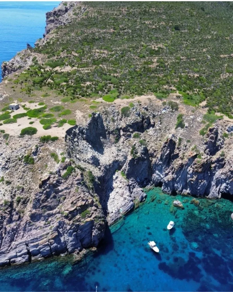 basiluzzo