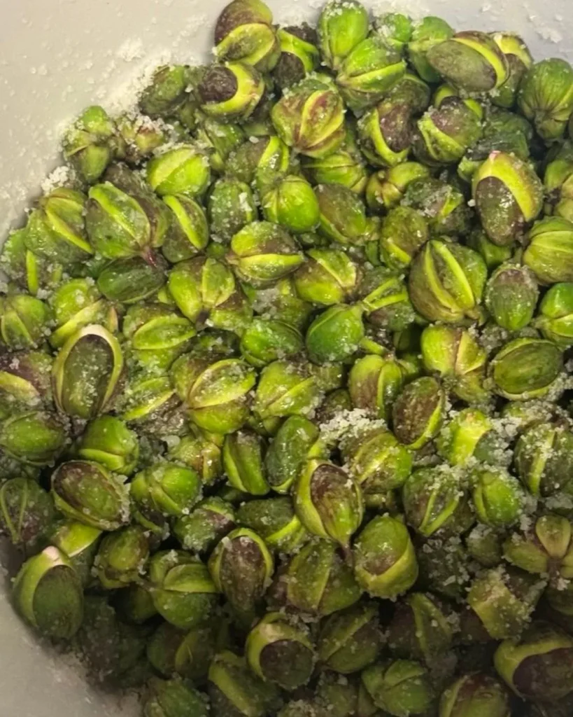 maurizia capperi salina