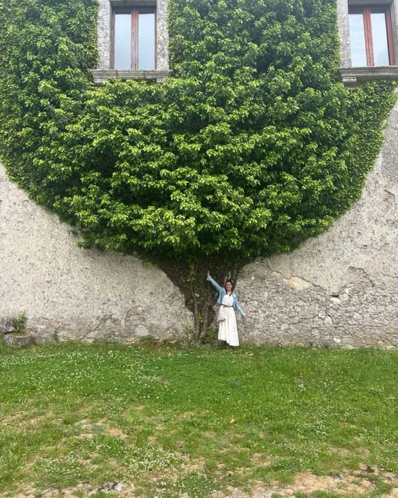 foto contessa entellina