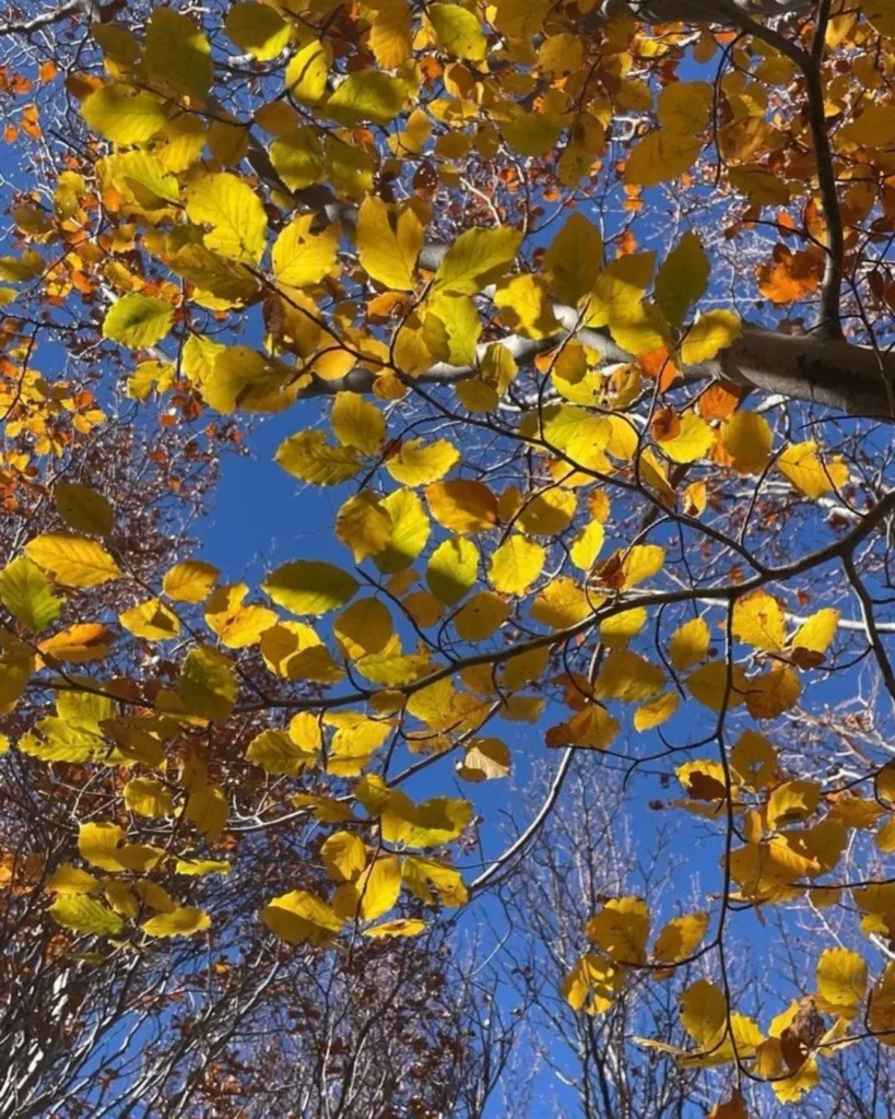 autunno