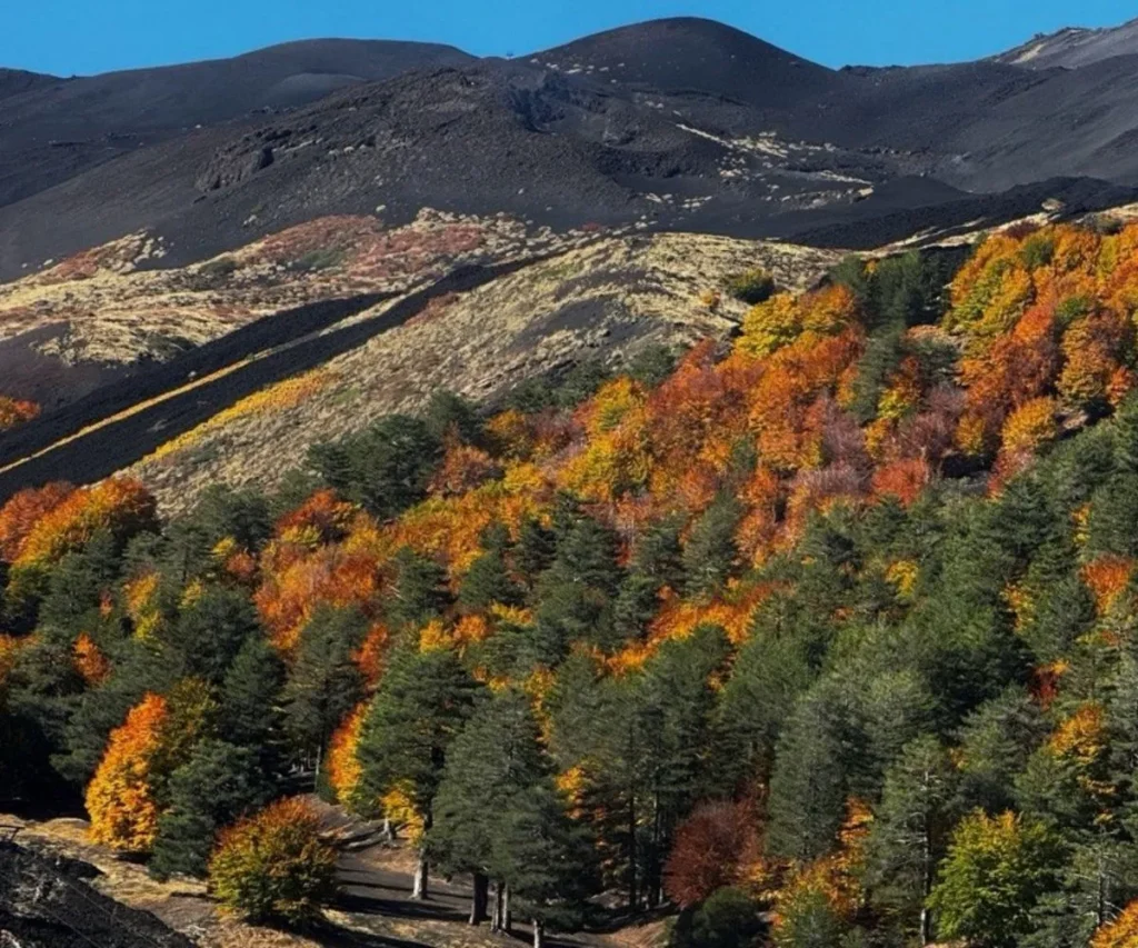 autunno copertina