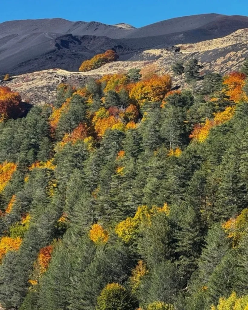 foto autunno